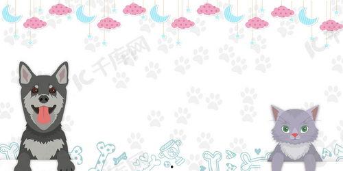 猫狗动画片免费观看,免费畅享猫狗动画盛宴