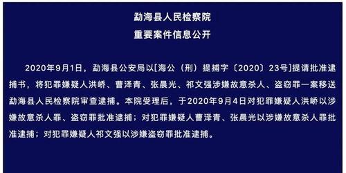 成都大学生爆料案件最新,校园疑云揭开惊人真相