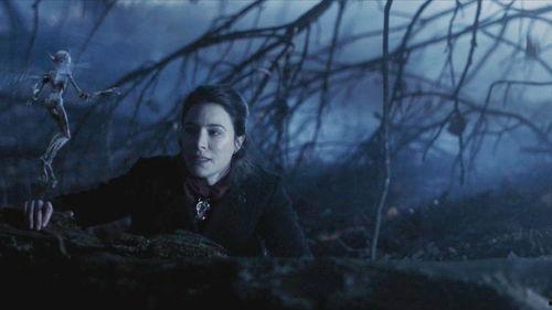 森林精灵电影免费观看,免费观影，探索自然奥秘