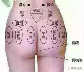 女人屁股手法按摩视频,专业手法视频教程