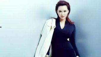 明星莫小棋小说,星光璀璨下的情感迷宫