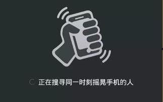 孤独叶 视频,探寻心灵深处的人生旅程