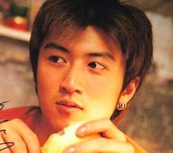 表白谢霆锋的明星,星光璀璨下的深情告白