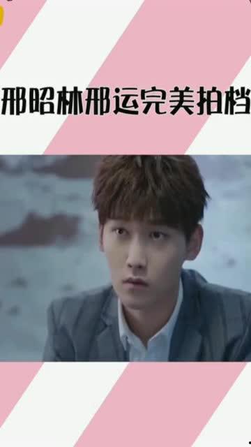 完美拍档在线观看完整