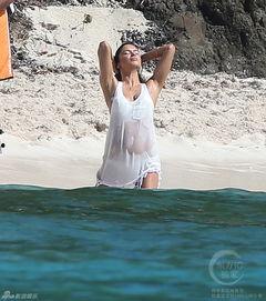 波多日本综艺,日本综艺界的性感风暴