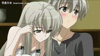 日本动漫h多,揭秘日本H文化的魅力与争议