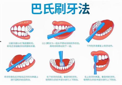 明星代言的牙刷品牌