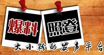 天长新闻爆料,揭秘当地热点事件背后的真相