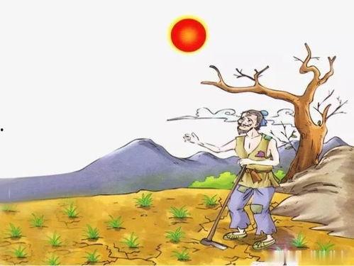 锄禾日当午全诗视频,劳动之美尽展眼前