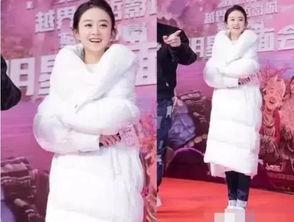 明星寒冬走红毯,明星华丽亮相，寒冬中的璀璨时刻