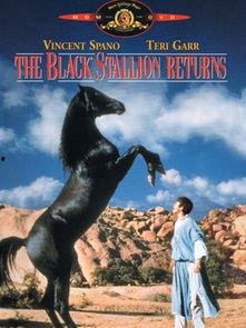 黑神驹2 在线播放,传奇再续，在线激战正酣